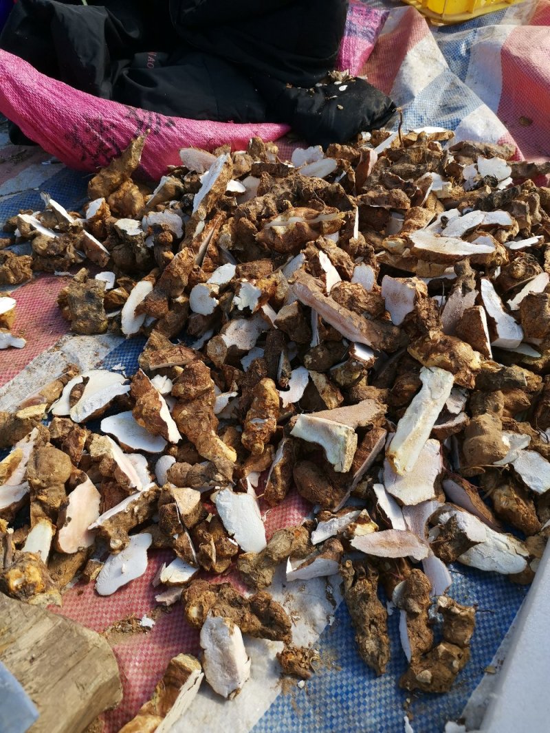 土茯苓大片，大量供应！优质