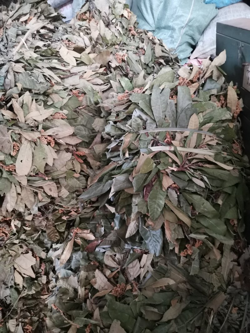 【热卖】土茯苓碎片一手货源，广西场地，