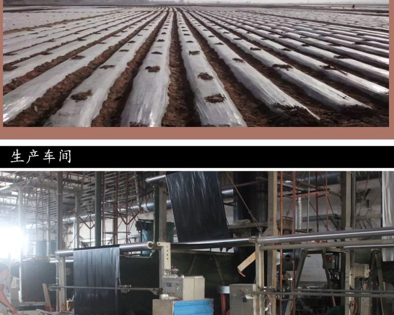 银黑膜农用单白双白地膜黑白相间地膜玉米药材除草地膜包邮