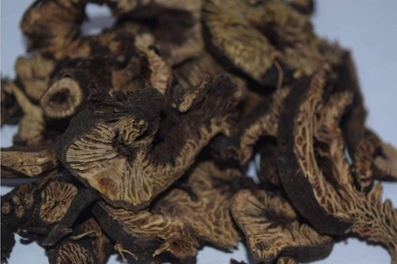 升麻，常年批发供应各种规格中药材无硫升麻东北货