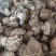 808.....9608量大从优。可代办