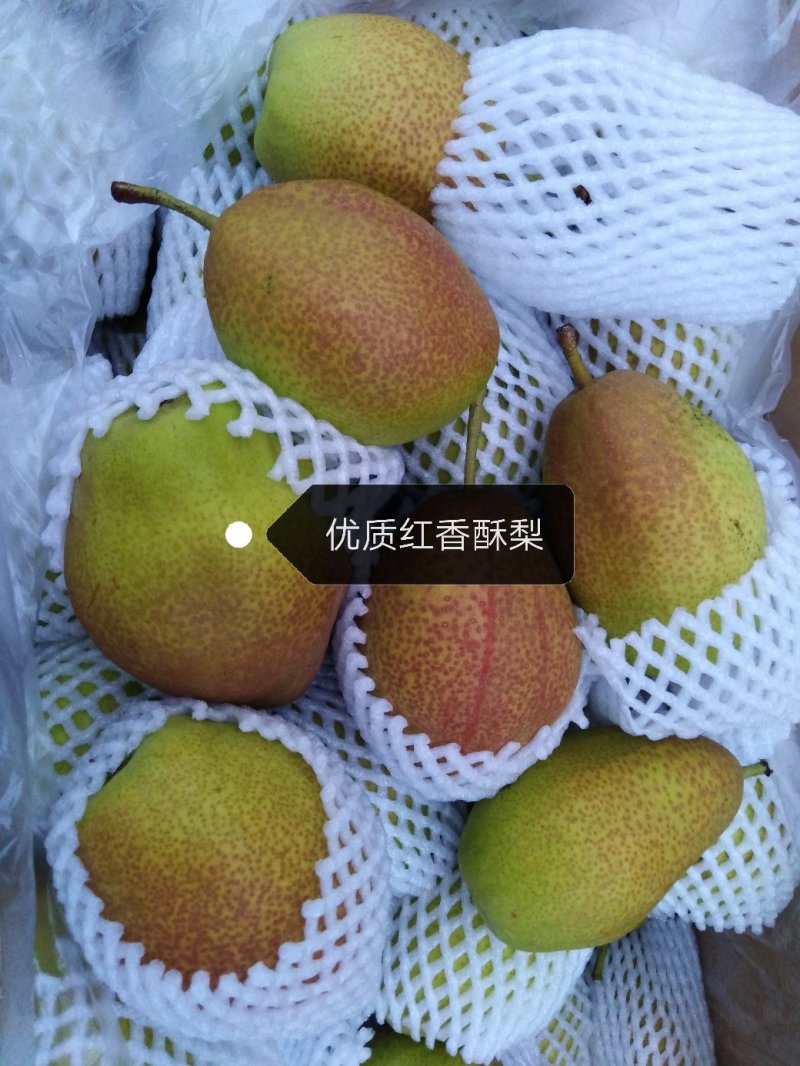梨