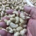 320生腰果～仁白香甜～肉厚可口～口感好质量好！无添加无
