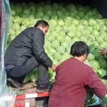 甘蓝菜，大头菜