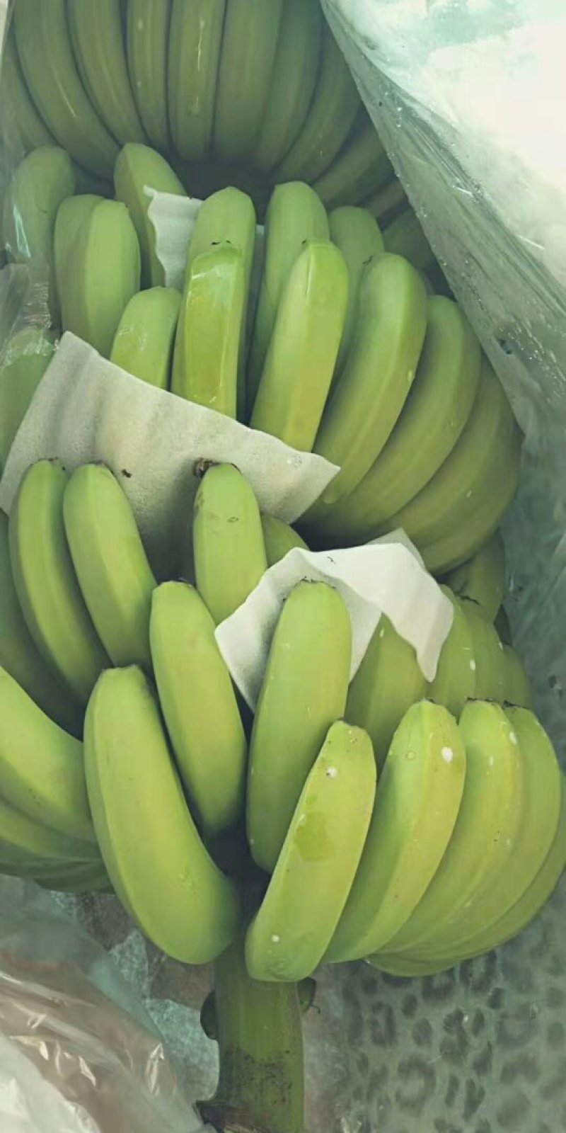 轻微受寒