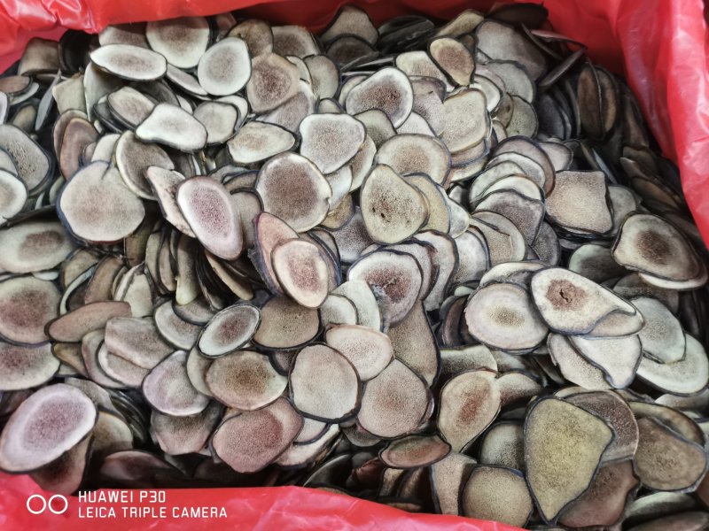 东北鹿茸白粉片鹿茸血片半腊片各种规格