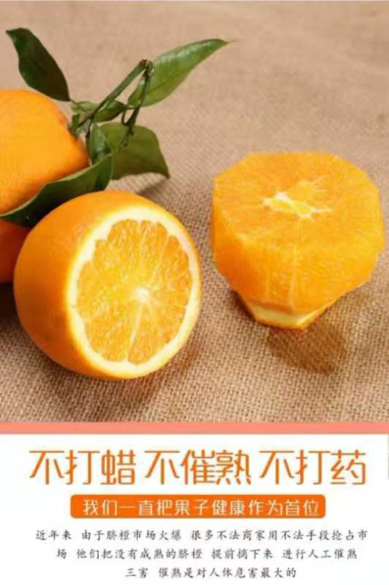 云南冰糖橙原产地直供支持一件代发