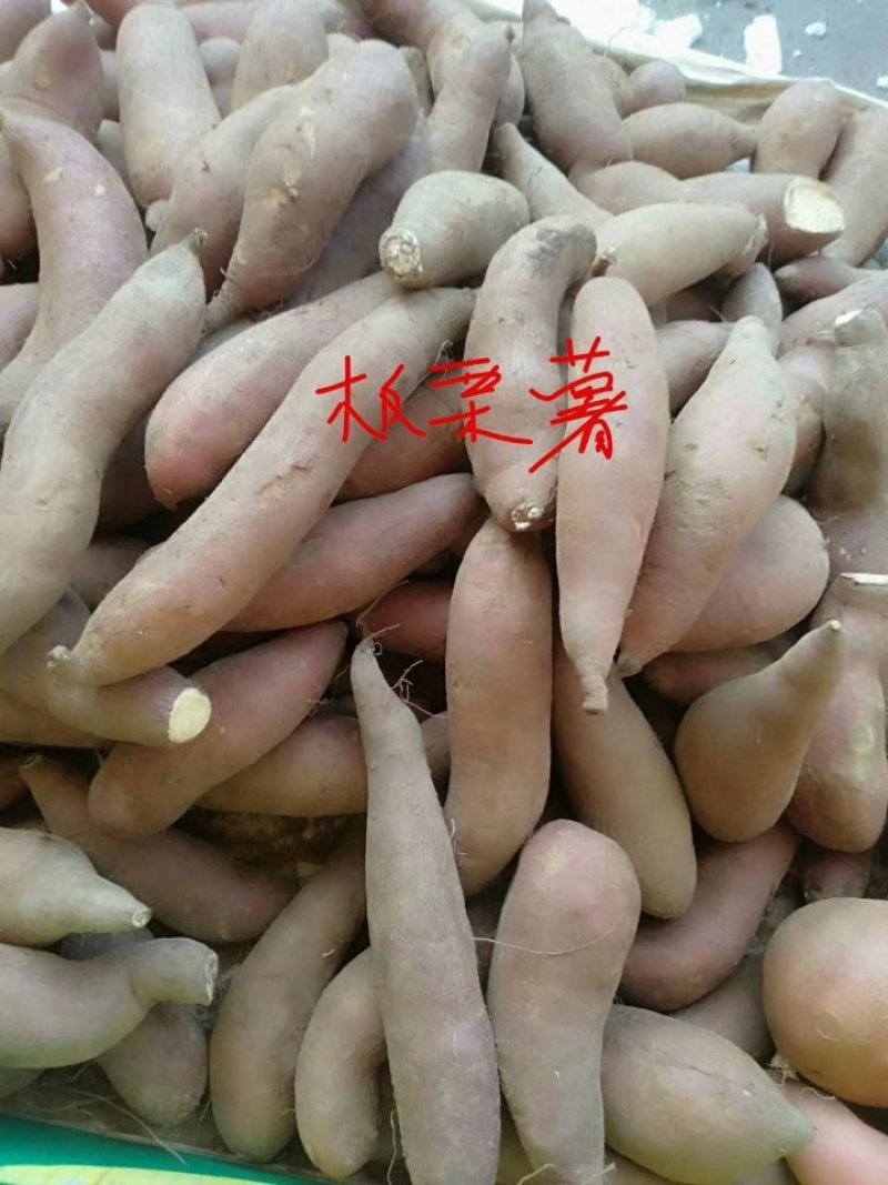 西瓜红地瓜