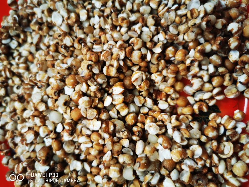 广东揭阳薏米900g潮汕特产新货新鲜农家小薏米仁粗粮