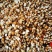 广东揭阳薏米900g潮汕特产新货新鲜农家小薏米仁粗粮