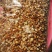广东揭阳薏米900g潮汕特产新货新鲜农家小薏米仁粗粮