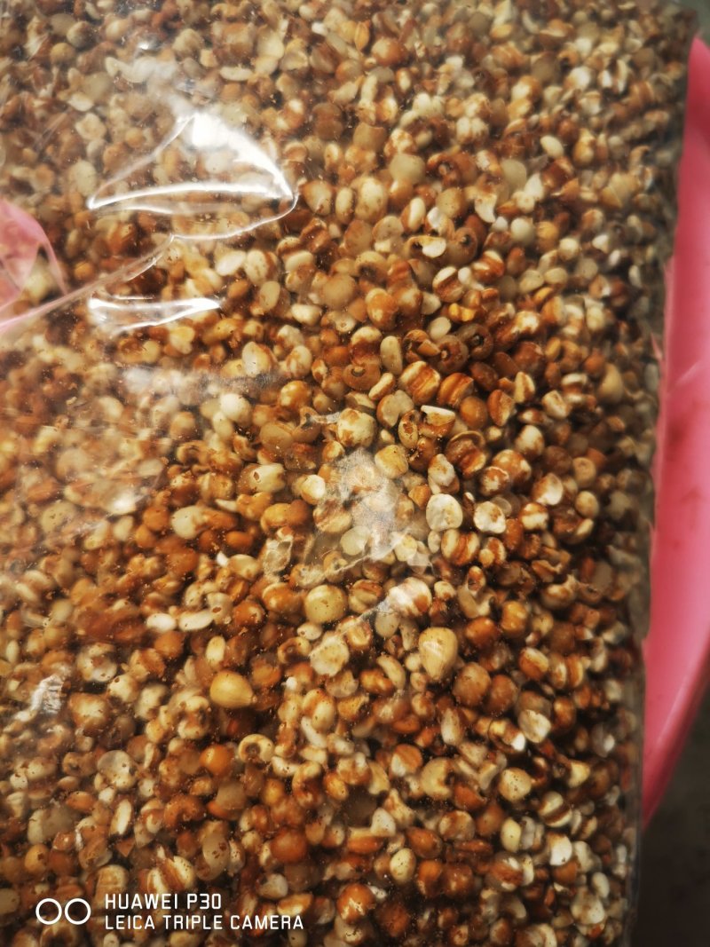广东揭阳薏米900g潮汕特产新货新鲜农家小薏米仁粗粮