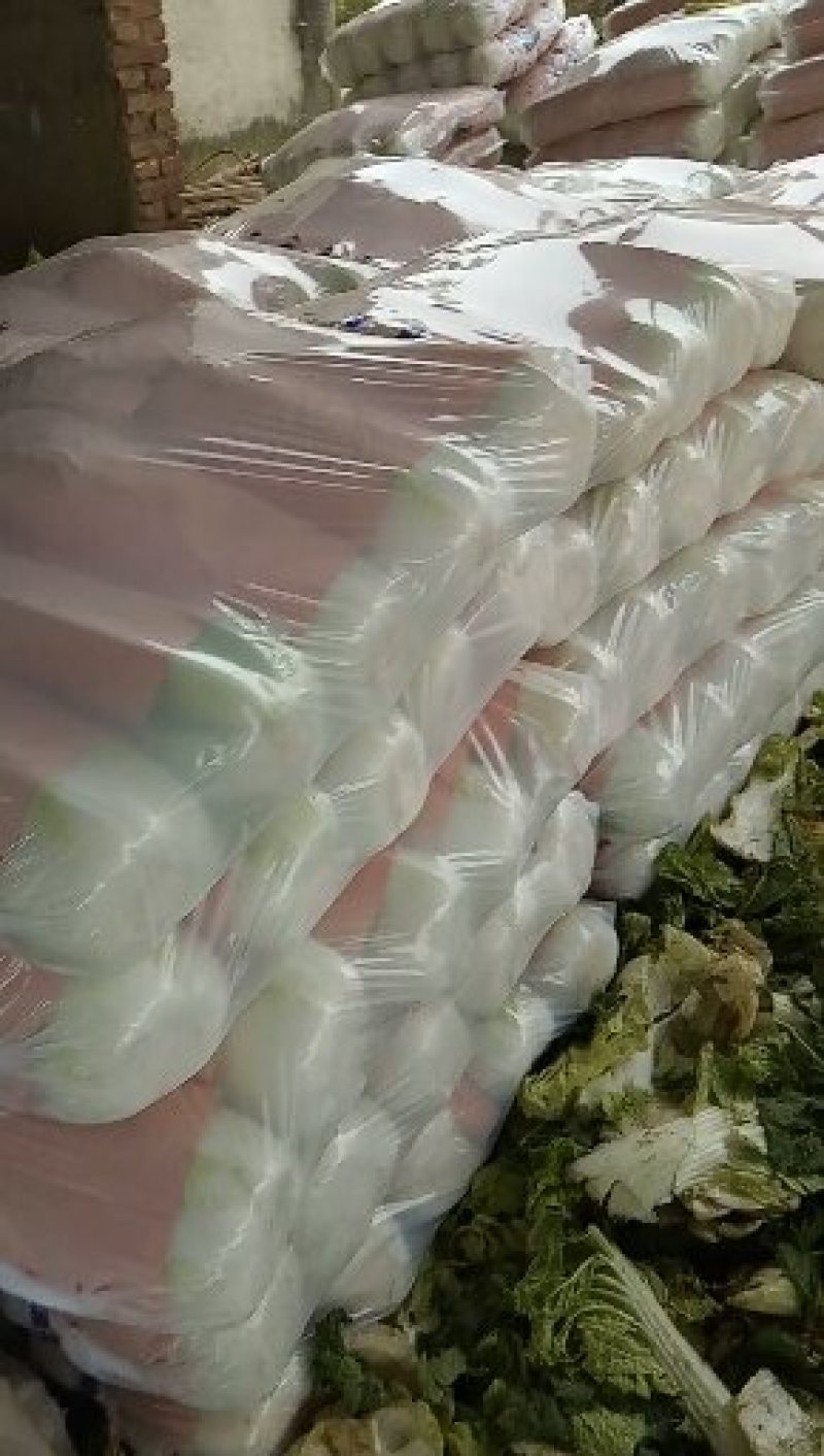 北京三号白菜，质量好，供货量大，价合理，运销全国各地。