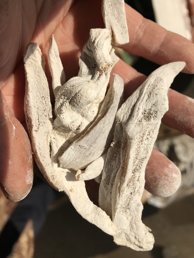 库存白霜地瓜干蜂蜜罐红薯干清仓处理边角料