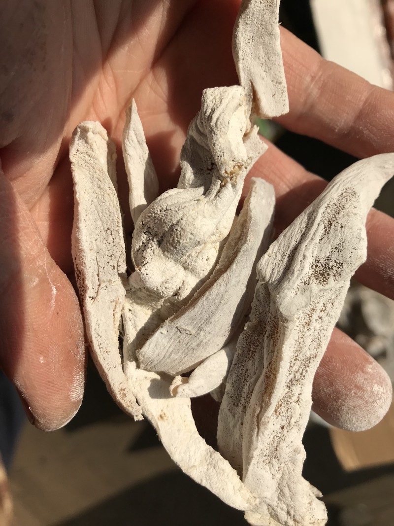 库存白霜地瓜干蜂蜜罐红薯干清仓处理边角料