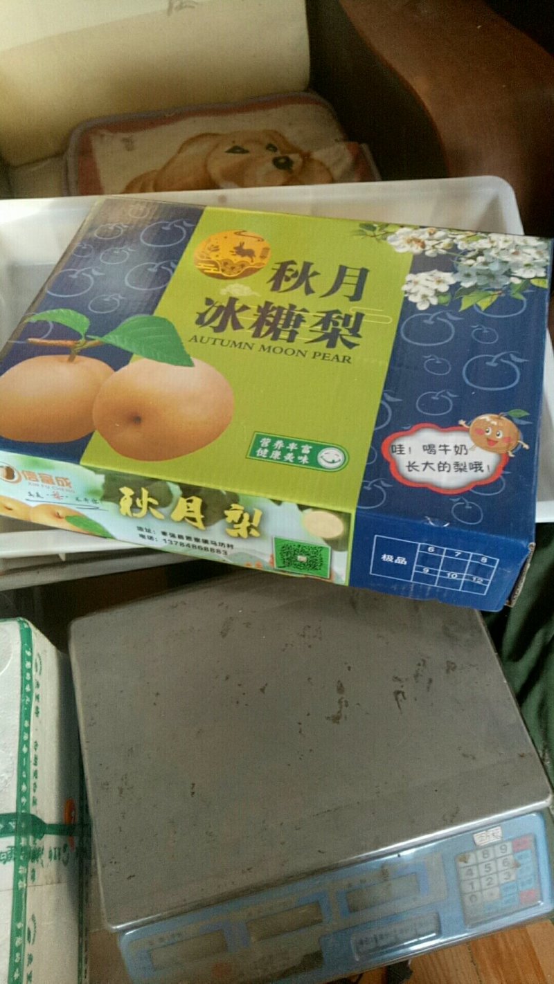 秋月梨