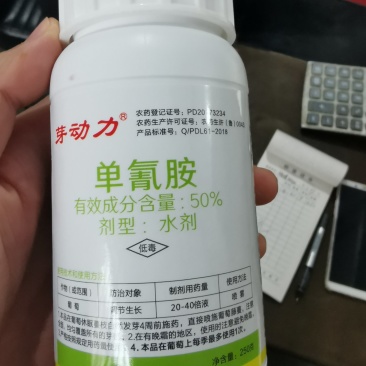 芽动力50%单氰胺破眠剂樱桃葡萄破眠剂植物生长调节剂