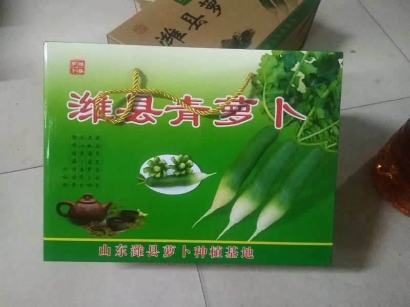 潍县青萝卜，潍坊青萝卜，水果萝卜(产地直供)货源充足
