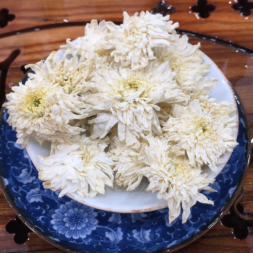 菊花茶七月菊2025年新黄山菊花茶白菊花茶