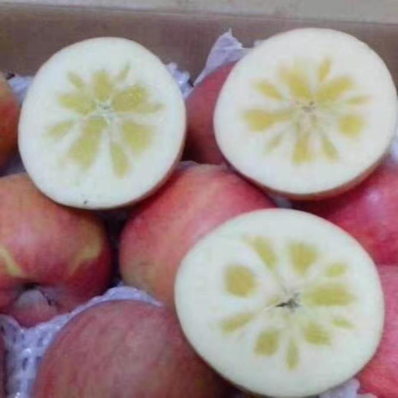 山西万荣纸加膜、膜袋冰糖心红富士苹果，羊奶苹果大量供应。
