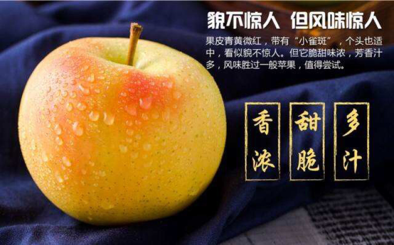 水蜜桃苹果苗日本引进水蜜桃苹果树苗新品种