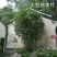 慈孝竹庭院道路小区别墅绿化可视频看货选货