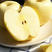 维纳斯苹果苗日本引进黄金苹果苗新品种品种纯正