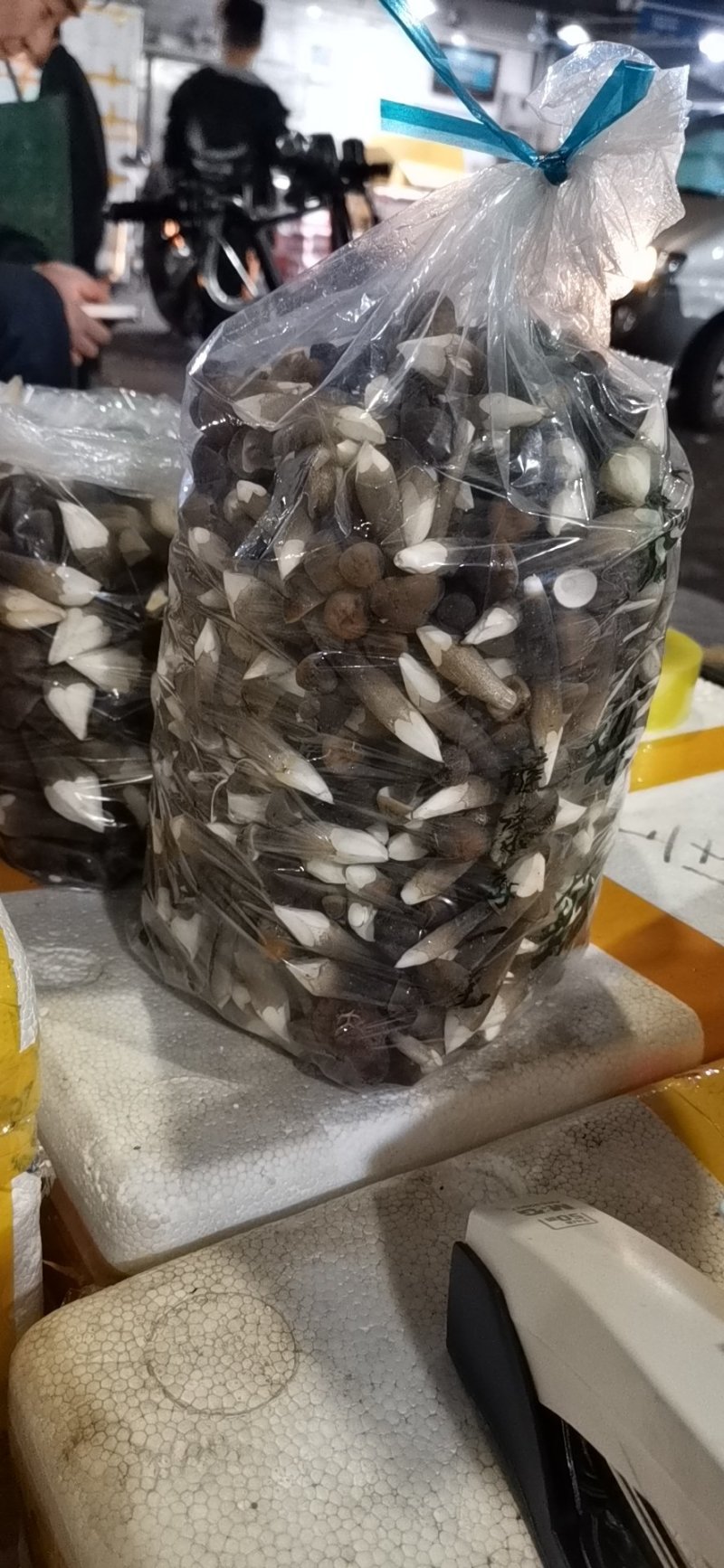 黑皮鸡枞菌