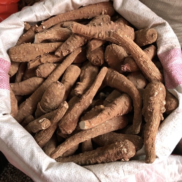川白芷无硫正品中药材量大从优