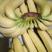常年供应云南香蕉，批发商，微商，电商，关系