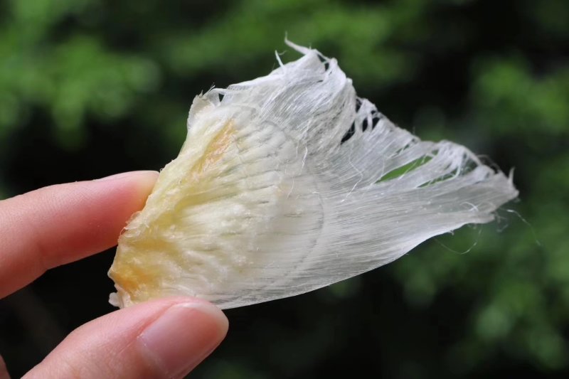 精选特级清水只鱼翅小鱼翅1斤装批发