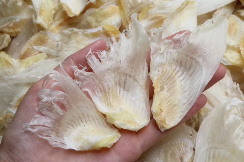 精选特级清水只鱼翅小鱼翅1斤装批发