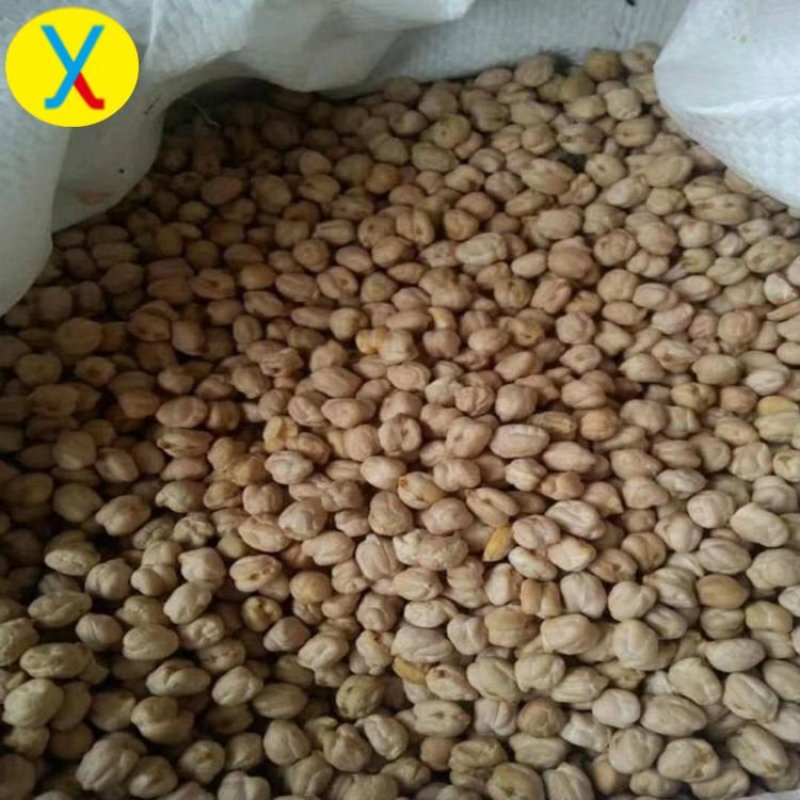 鹰嘴豆一手货源价格美丽