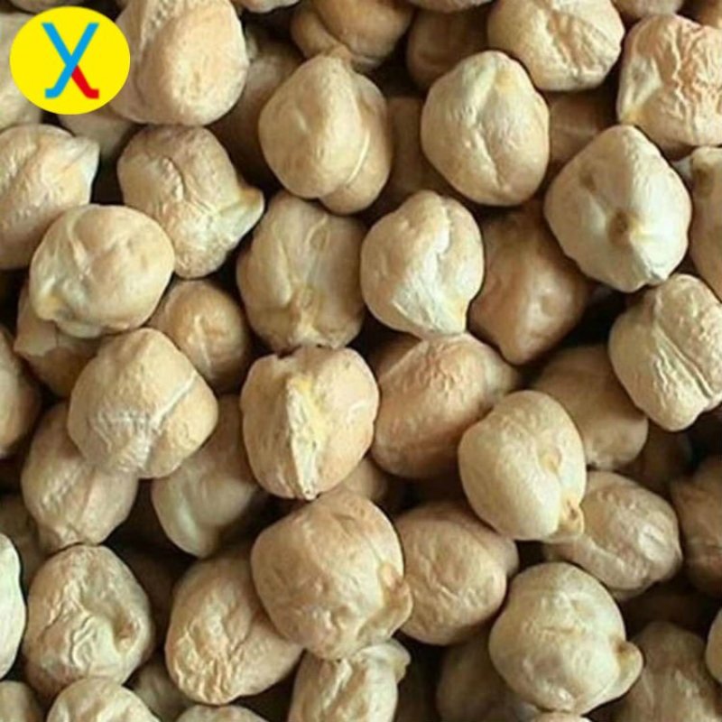 鹰嘴豆一手货源价格美丽
