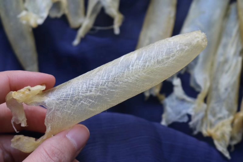 精选特级深海鲈鱼黄花胶筒200头一斤装