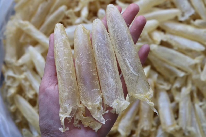 精选特级深海鲈鱼黄花胶筒200头一斤装