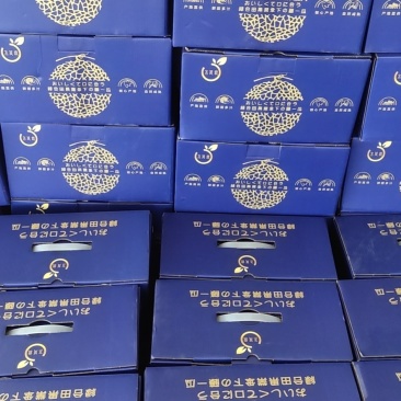 海南网纹瓜一级/品牌/蓝色妖姬系列/质量保证