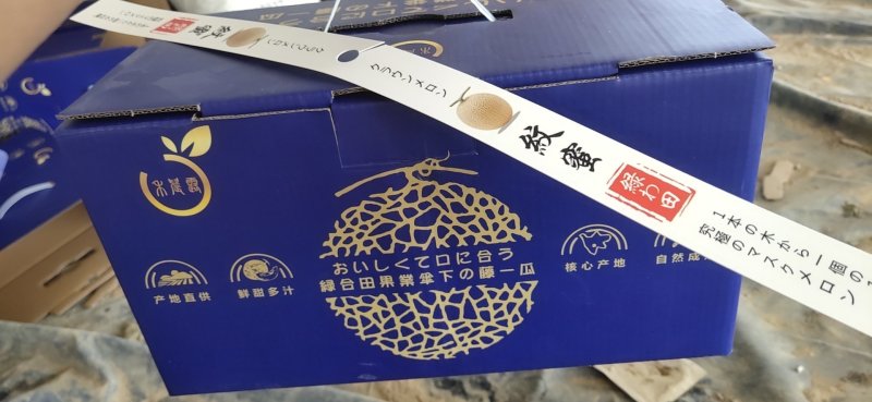 海南网纹瓜一级/品牌/蓝色妖姬系列/质量保证