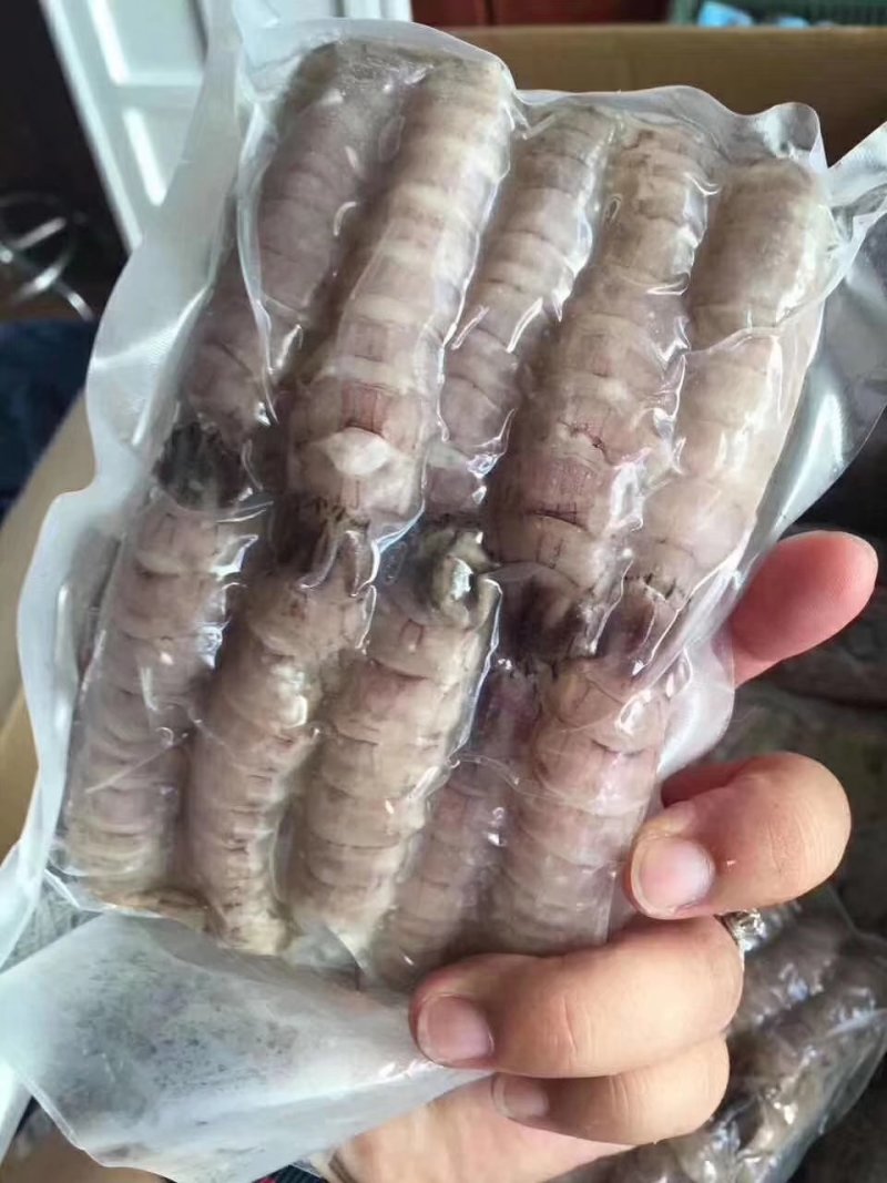 皮皮虾肉爬虾肉皮皮虾肉冷冻虾爬子濑尿虾虾姑肉琵琶