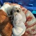 纯种拉布拉多幼犬，家庭养殖性格温顺！粘人！，