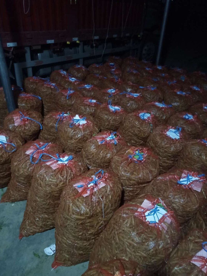 青豌豆，中豌九号豌豆四月，市场，电商超市供应