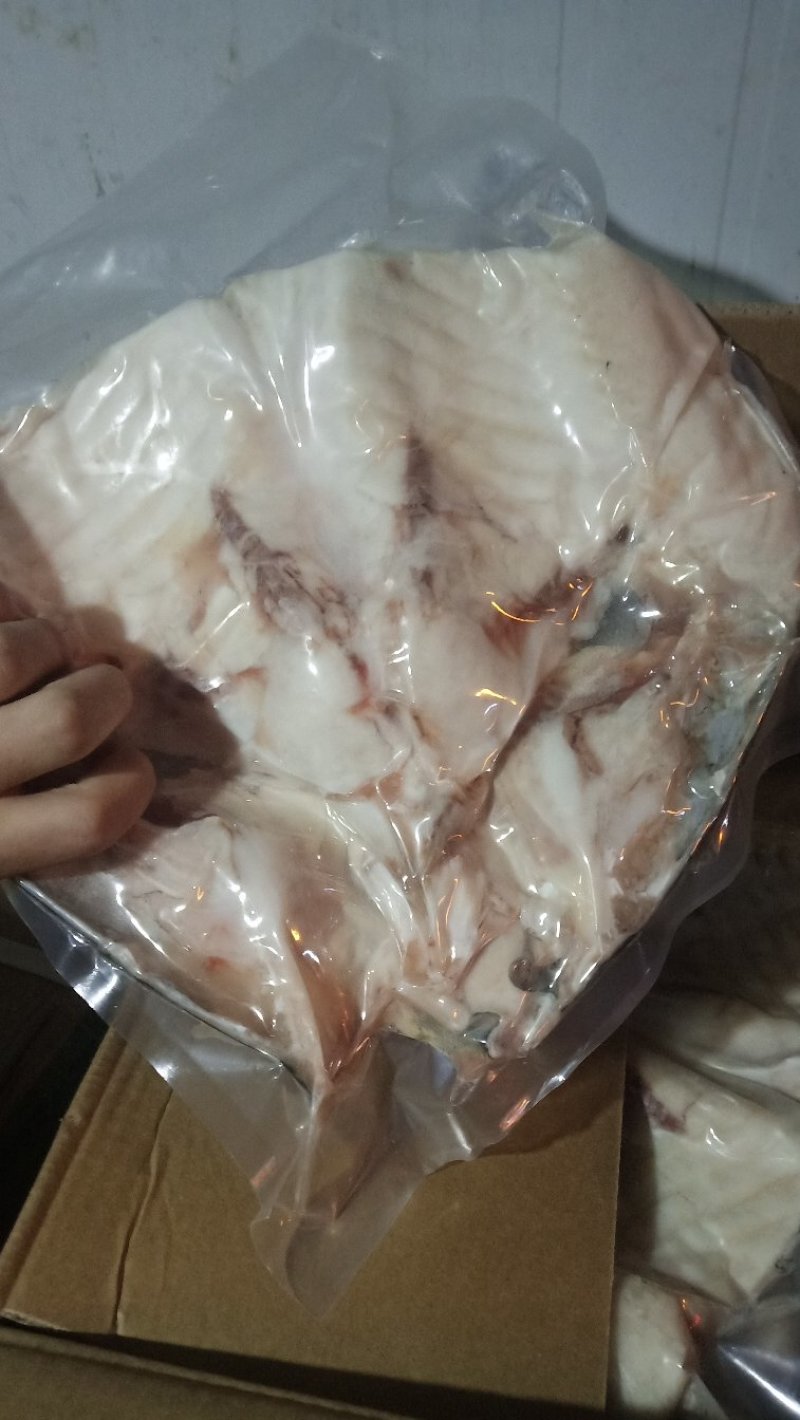 液氮速冻鱼头