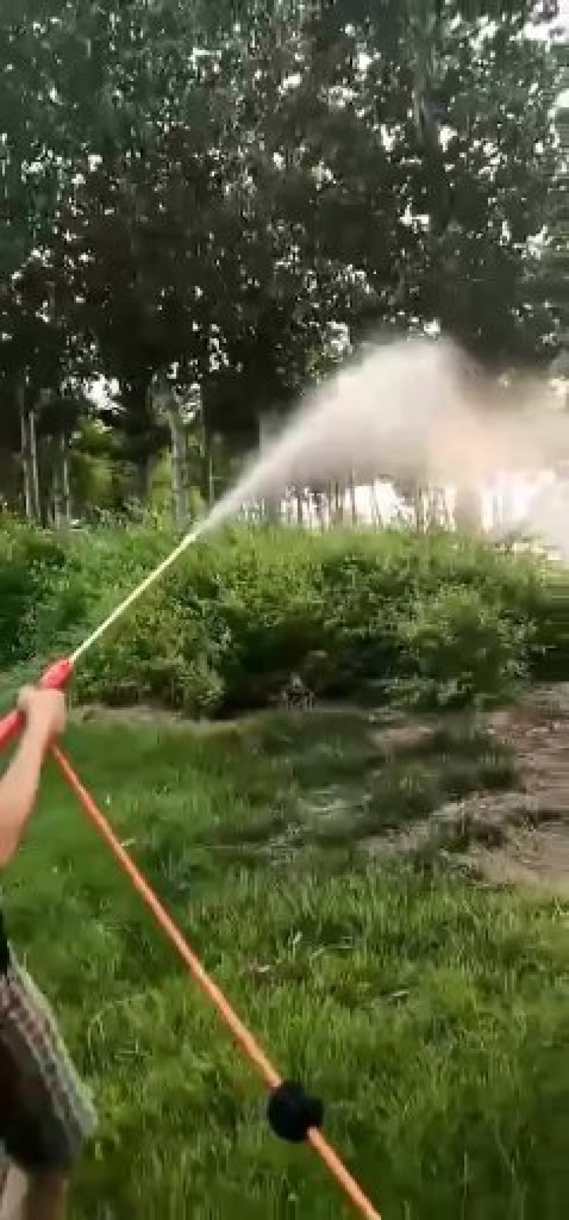【精品】一手货源新型手推式汽油植保打药机
