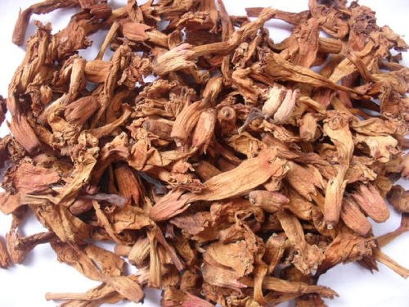 常年批发代购凌霄花