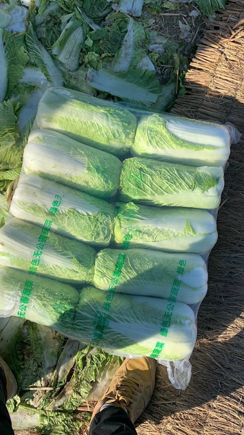油绿三号白菜，唐山市玉田县大白菜之乡各种包装