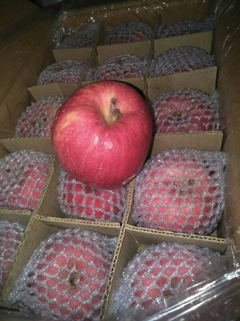 静宁红富士苹果