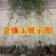 金镶玉竹庭院绿化高1.5m包邮好成活可视频看货