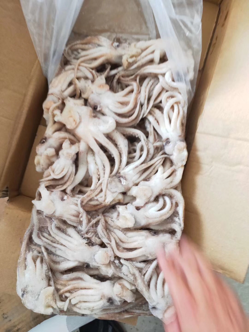 《有好货》鱿鱼头