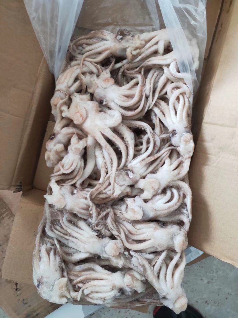 《有好货》鱿鱼头
