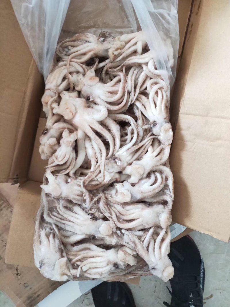 《有好货》鱿鱼头